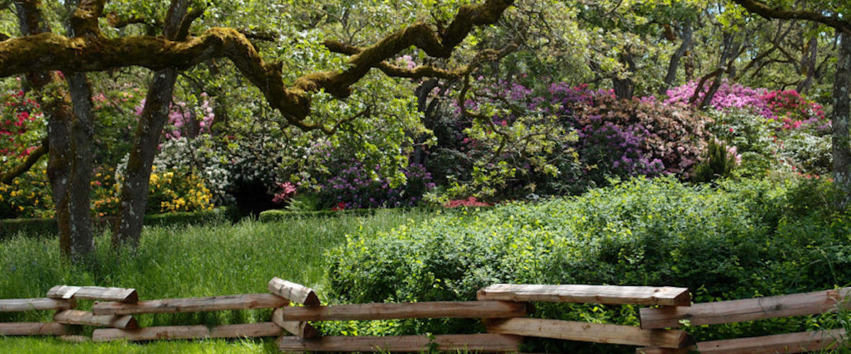 Ten Of Greater Victoria S Best Heritage Homes Times Colonist