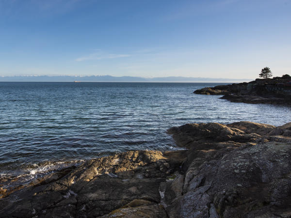 ocean front properties for sale