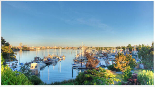 ocean-view-over-marina