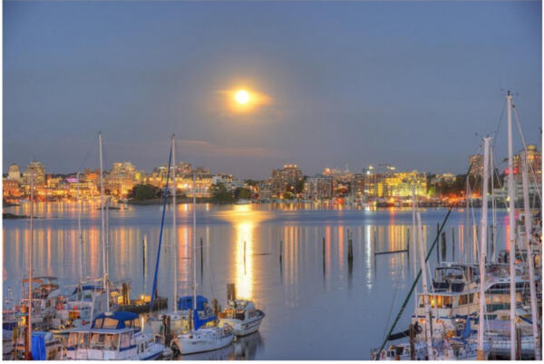 waterview-from-property-evening